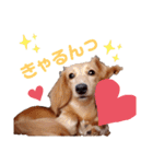 おもしろぴちゃん（個別スタンプ：16）