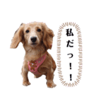 おもしろぴちゃん（個別スタンプ：17）