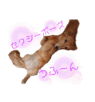 おもしろぴちゃん（個別スタンプ：18）