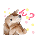 おもしろぴちゃん（個別スタンプ：19）