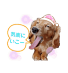おもしろぴちゃん（個別スタンプ：24）