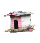 雑種犬飼い犬3（個別スタンプ：31）