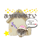はむちゃんかわいいスタンプ3（個別スタンプ：6）