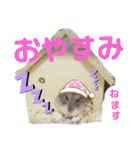 はむちゃんかわいいスタンプ3（個別スタンプ：7）