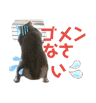 はむちゃんかわいいスタンプ3（個別スタンプ：20）