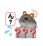 はむちゃんかわいいスタンプ3（個別スタンプ：22）