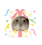 はむちゃんかわいいスタンプ3（個別スタンプ：30）