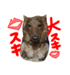 L.Nオリジナルスタンプ（個別スタンプ：13）