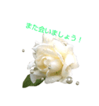 Pearl Rose（個別スタンプ：6）