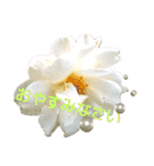 Pearl Rose（個別スタンプ：8）