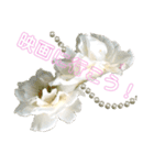 Pearl Rose（個別スタンプ：11）