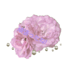Pearl Rose（個別スタンプ：17）
