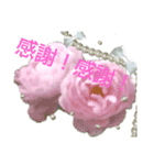 Pearl Rose（個別スタンプ：20）