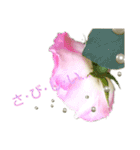 Pearl Rose（個別スタンプ：21）