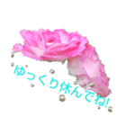 Pearl Rose（個別スタンプ：23）