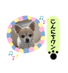10あーのスタンプ2018.2（個別スタンプ：1）