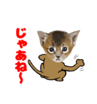顔だけリアル、いち（個別スタンプ：1）