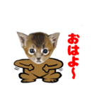 顔だけリアル、いち（個別スタンプ：4）