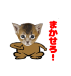 顔だけリアル、いち（個別スタンプ：5）