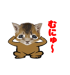 顔だけリアル、いち（個別スタンプ：6）