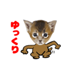 顔だけリアル、いち（個別スタンプ：8）