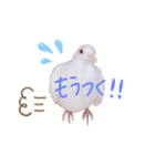 健気なはーちゃん！（個別スタンプ：7）