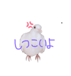 健気なはーちゃん！（個別スタンプ：9）