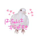 健気なはーちゃん！（個別スタンプ：10）