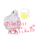 健気なはーちゃん！（個別スタンプ：11）