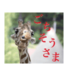 動物と日常生活スタンプ（個別スタンプ：7）