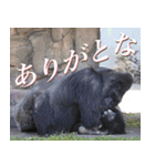 動物と日常生活スタンプ（個別スタンプ：18）