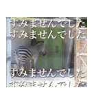 動物と日常生活スタンプ（個別スタンプ：19）