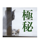 動物と日常生活スタンプ（個別スタンプ：25）