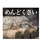 動物と日常生活スタンプ（個別スタンプ：26）