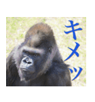動物と日常生活スタンプ（個別スタンプ：27）