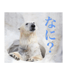 動物と日常生活スタンプ（個別スタンプ：28）