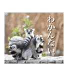 動物と日常生活スタンプ（個別スタンプ：32）