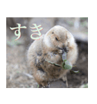 動物と日常生活スタンプ（個別スタンプ：33）
