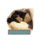 TORUKON RIRI3（個別スタンプ：1）