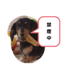 TORUKON RIRI3（個別スタンプ：2）