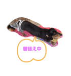 TORUKON RIRI3（個別スタンプ：4）