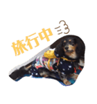 TORUKON RIRI3（個別スタンプ：7）