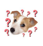 JRT☆ステラ（個別スタンプ：2）