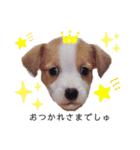 JRT☆ステラ（個別スタンプ：3）