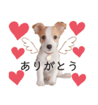 JRT☆ステラ（個別スタンプ：4）