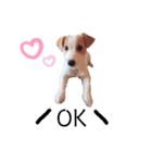 JRT☆ステラ（個別スタンプ：5）