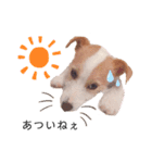 JRT☆ステラ（個別スタンプ：6）