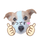 JRT☆ステラ（個別スタンプ：7）
