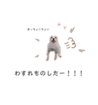 JRT☆ステラ（個別スタンプ：8）