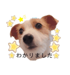 JRT☆ステラ（個別スタンプ：10）